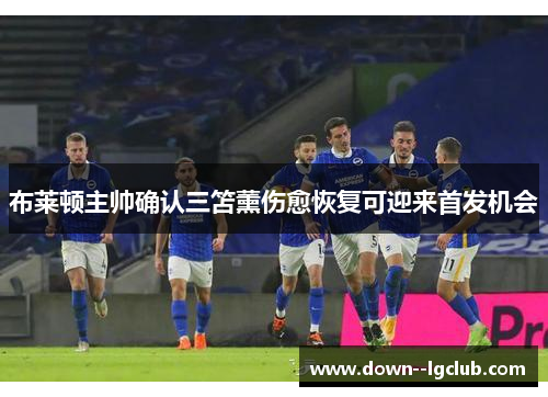 布莱顿主帅确认三笘薰伤愈恢复可迎来首发机会 布莱顿主帅确认三笘薰伤愈恢复可迎来首发机会
