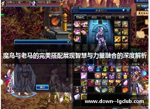 魔鸟与老马的完美搭配展现智慧与力量融合的深度解析